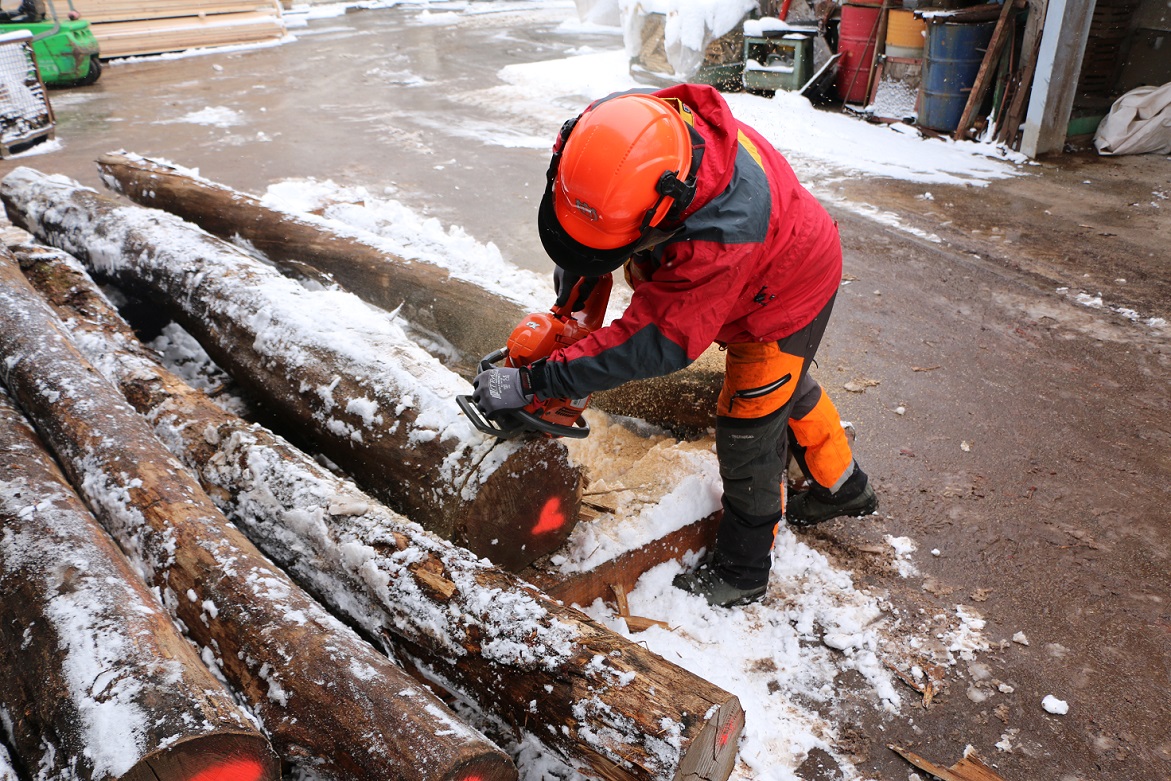 Figure 2 Taking samples from the log_0.JPG