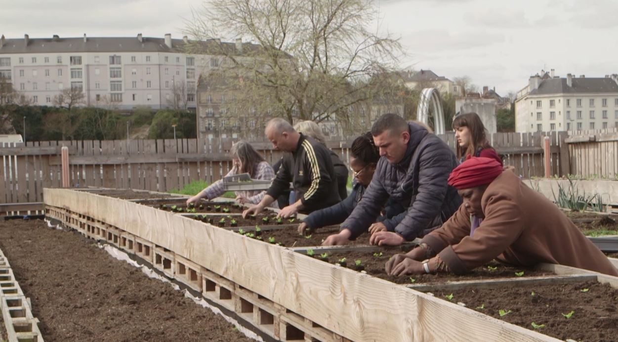 Urban farm_0.JPG