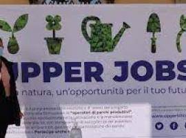 UPPER Jobs Upper Jobs