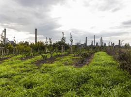 Planted! The CLAIRO project team has now created new greenery with an area of more than 20 000 m² in total
