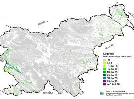 Distribution of Black locust in Slovenia (source: Slovenian Forest Service) Distribution of Black locust in Slovenia (source: Slovenian Forest Service)