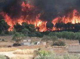 Wildfire in Venta del Moro, 4th July 2022 Wildfire in Venta del Moro, 4th July 2022